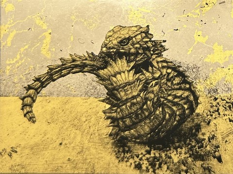 Armadillo Lizard