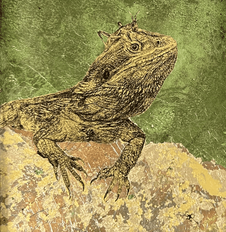 Bearded dragon