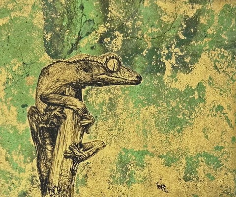 Crested gecko