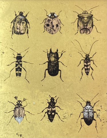 Beetle mania!