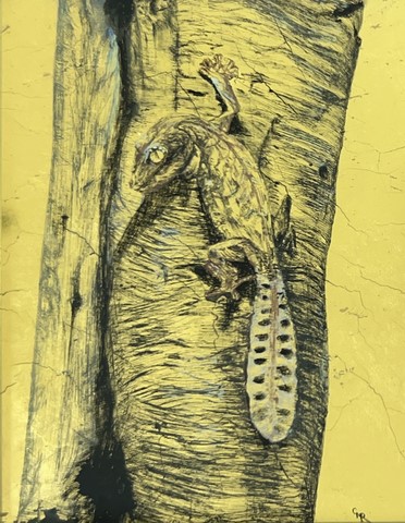 leaf tailed gecko
