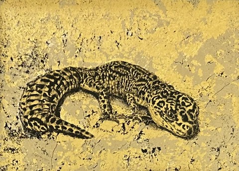 Leopard gecko